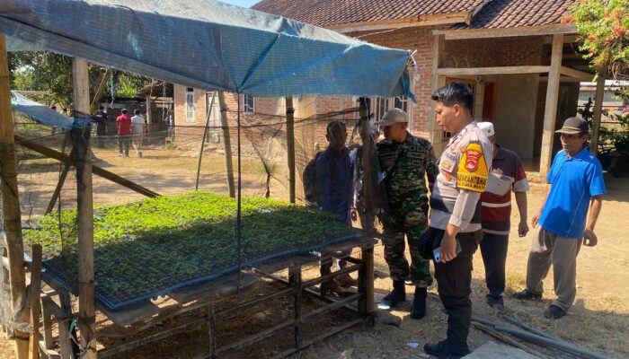 Dukung Ketahanan Pangan Nasional, Bhabinkamtibmas Desa Suka Mulya Sambangi Petani Cabai Berikan Motivasi