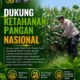 Polsek Tuban Dukung Ketahanan Pangan Nasional, Pantau Langsung Lahan Jagung Warga