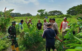 Bantu Ekonomi Warga, Polsek Batulayar Dorong Optimalisasi Lahan Pertanian Lokal