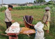 Perkuat Ekonomi Desa, Langkah Nyata Polsek Labuapi Dampingi Kelompok Tani di Karang Bongkot