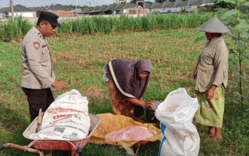 Perkuat Ekonomi Desa, Langkah Nyata Polsek Labuapi Dampingi Kelompok Tani di Karang Bongkot