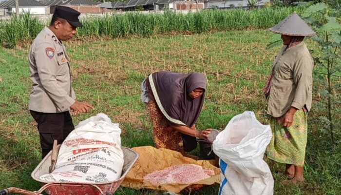 Dukung Ketahanan Pangan Nasional, Polsek Labuapi Turun Langsung Mendampingi Petani Karang Bongkot