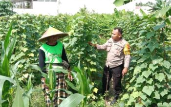 Sinergi Bhabinkamtibmas dan Petani Labuapi Manfaatkan Pekarangan Demi Kemandirian Pangan