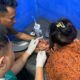 ANAK 3 TAHUN DISERANG DAN DIGIGIT ANJING DIDUGA RABIES DI MANGGELEWA, POLISI IMBAU WARGA WASPADA