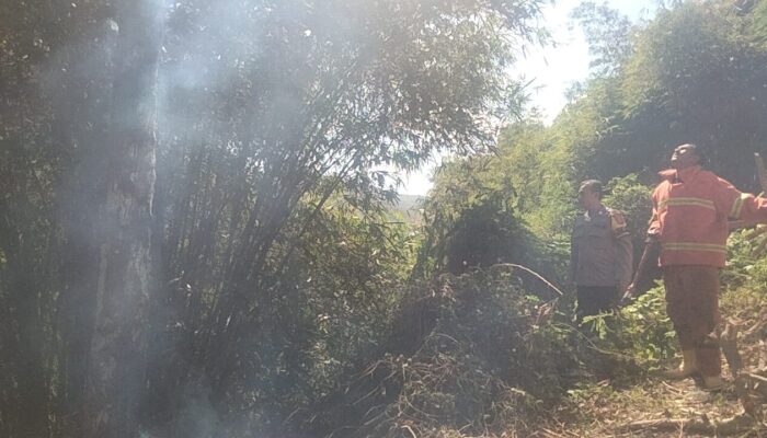 Cegah Api Meluas, Bhabinkamtibmas Kodo Bersama Damkar Padamkan Kebakaran Lahan Warga