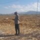 CEK KESIAPAN PANEN RAYA JAGUNG, KAPOLSEK HU’U TINJAU LAHAN DI DESA SAWE