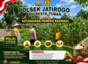 Kawal Swasembada Pangan, Polsek Jatirogo Pantau Langsung Tanaman Jagung di Kebonharjo