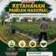 POLSEK KEREK SAMBANG DAN DIALOGIS DENGAN PETANI LOMBOK DI DESA BINAAN