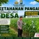 DUKUNG KETAHANAN PANGAN NASIONAL, BHABINKAMTIBMAS DESA PACING POLSEK PARENGAN POLRESTA TUBAN MONITORING LAHAN JAGUNG MILIK PETANI DI DESA PACING KEC. PARENGAN.