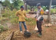 Apresiasi Warga Produktif, Bhabinkamtibmas Desa Labangka Cek Pekarangan Pangan Lestari Warga