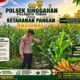 Anggota Polsek Singgahan Polresta Tuban Turun Cek Tanaman jagung Warga di Desa Lajo loratis