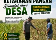 Polri Dukung Astacita, Polsek Rengel Polresta Tuban Turun Cek Tanaman Jagung Warga di Desa Pekuwon