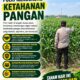 Polri Dukung Astacita, Polsek Merakurak Polres Tuban Turun Cek Tanaman Jagung Warga di Desa Tuwiri Wetan