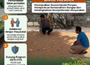 ANGGOTA POLSEK GRABAGAN SAMBANG DESA BINAAN, PANTAU LAHAN JAGUNG DAN MEMASTIKAN SISTEM IRIGASI MASIH LANCAR