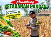 Dukung Program Asta Cita Presiden, Anggota Bhabinkamtibmas Polsek Senori Polresta Tuban Lakukan Pemantauan Tanaman Jagung Warga Desa Jatisari