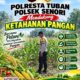 Bhabinkamtibmas Polsek Senori Pantau Tanaman Jagung Warga Desa Jatisari Dukung Ketahanan Pangan