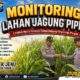 Anggota Bhabinkamtibmas Polsek Senori Polresta Tuban Monitoring Tanaman Jagung Milik Warga Desa Jatisari Dukung Program Ketahanan Pangan