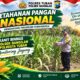 Polsek Bangilan Dukung Ketahanan Pangan Nasional melalui Monitoring Tanaman Jagung