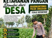 Anggota Polsek Singgahan Polresta Tuban Turun Cek Tanaman jagung Warga di Desa Tunggulrejo