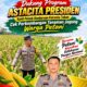 Dukung Program Astacita Presiden, Kanit Binmas Polsek Kenduruan Polresta Tuban Cek Perkembangan Tanaman Jagung Warga