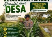Polri Dukung Astacita, Polsek jenu Polres Tuban Turun Cek Tanaman Jagung Warga di Desa Sumurgeneng
