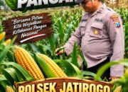 Turun ke Ladang Demit, Polsek Jatirogo Kawal Jagung Demi Swasembada Pangan