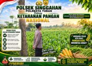 Anggota Polsek Singgahan Polresta Tuban Turun Cek Tanaman jagung Warga di Desa Mulyorejo
