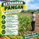 Polri Dukung Astacita, Polsek Merakurak Polres Tuban Turun Cek Tanaman Jagung Warga di Desa Tuwiri Wetan
