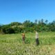 Dukung Ketahanan Pangan, Bhabinkamtibmas Desa Tarusa Sambangi Petani Pengecek Tanaman Jagung Pioner