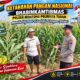 Polsek Montong Polresta Tuban Turun Cek Tanaman jagung Warga di Desa Pucangan