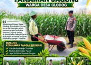 Dukung Astacita, Polsek Palang Polresta Tuban Pantau Langsung Lahan Jagung milik warga Desa Glodog