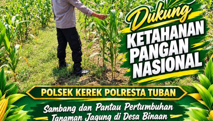POLSEK KEREK LAKSANAKAN PEMANTAUAN TANAMAN JAGUNG DI DESA BINAAN, DEMI DUKUNG KETAHANAN PANGAN