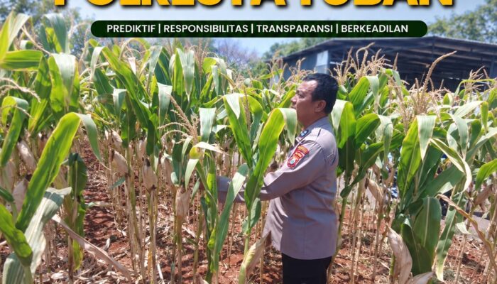 POLSEK KEREK LAKSANAKAN PEMANTAUAN TANAMAN JAGUNG DI DESA BINAAN, DEMI DUKUNG KETAHANAN PANGAN