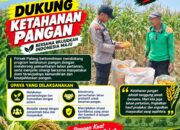 Dukung Astacita, Polsek Palang Polresta Tuban Pantau Langsung Lahan Jagung milik warga Desa Wangun