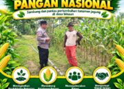 “DUKUNG PROGRAM KETAHANAN PANGAN, BHABINKAMTIBMAS PANTAU PERTUMBUHAN JAGUNG DI DESA BINAAN”