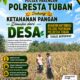 DUKUNG KETAHANAN PANGAN, ANGGOTA POLSEK PARENGAN POLRESTA TUBAN LAKSANAKAN SAMBANG DAN PENDAMPINGAN PANEN JAGUNG DESA SUKOREJO KEC. PARENGAN