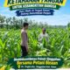 Anggota Polsek Singgahan Polresta Tuban Turun Cek Tanaman jagung Warga di Desa Tingkis