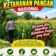Polri Dukung Astacita, Polsek Semanding Polresta Tuban Turun Cek Tanaman jagung milik Warga di Desa Jadi