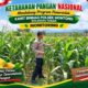 Polsek Montong Polresta Tuban Turun Cek Tanaman jagung Warga di Desa Pucangan