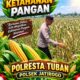 Polri dukung progam Astacita, Polsek Jatirogo Polresta Tuban Turun Cek Tanaman jagung Warga di Desa Paseyan