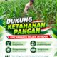Dukung Asta Cita, Polsek Jatirogo Turun Langsung Pantau Ladang Jagung Warga Desa Besowo