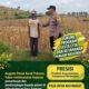 Dukung Astacita, Polsek Jatirogo Cek Langsung Ladang Jagung Warga Desa Demit