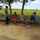 Dukung Asta Cita Presiden RI, Polsek Tambakboyo Terjun ke Sawah Dampingi Petani Wujudkan Ketahanan Pangan