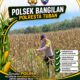 POLSEK BANGILAN DUKUNG KETAHANAN PANGAN