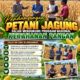Dukung Ketahanan Pangan Nasional, Polsek Bancar Turun Ke Lahan Jagung Warga Desa Pacing