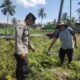 Dukung Swasembada Pangan, Bhabinkamtibmas Paokmotong Monitoring Lahan Pekarangan Pangan Bergizi