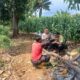 Dukung Asta Cita Presiden, Bhabinkamtibmas Polsek Tambakboyo Dampingi Petani Jagung di Lahan