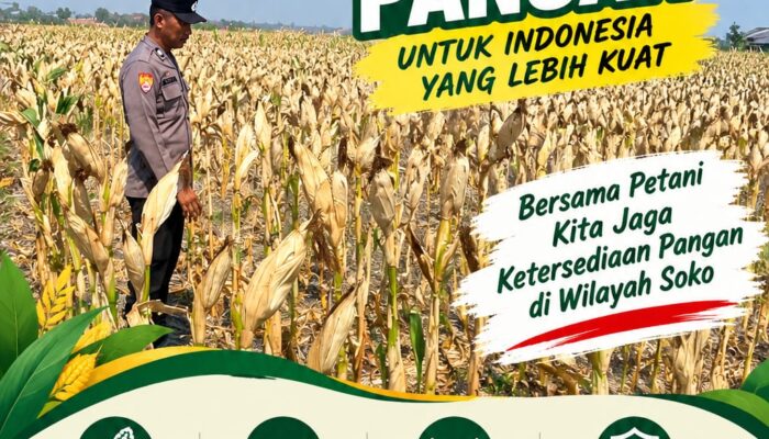 Polsek Soko Polresta Tuban Turun Langsung Cek Tanaman Jagung Warga