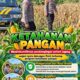 Mendukung Program Ketahanan Pangan, Bhabinkamtibmas Monitoring Pertumbuhan Jagung