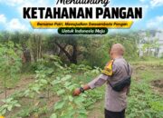 Bhabinkamtibmas Polsek Tuban Pantau Lahan Warga, Dukung Ketahanan Pangan